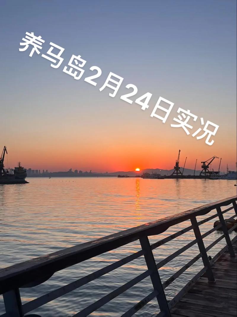 養馬島2月24日旅游攻略(實況)重要通知:本店租車,民宿業務